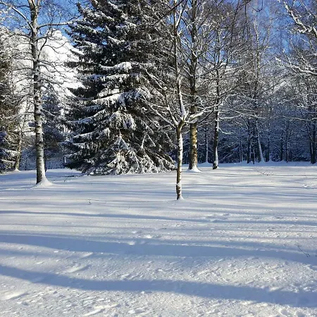 Ferienwohnung Rieger Braunlage Exterior foto