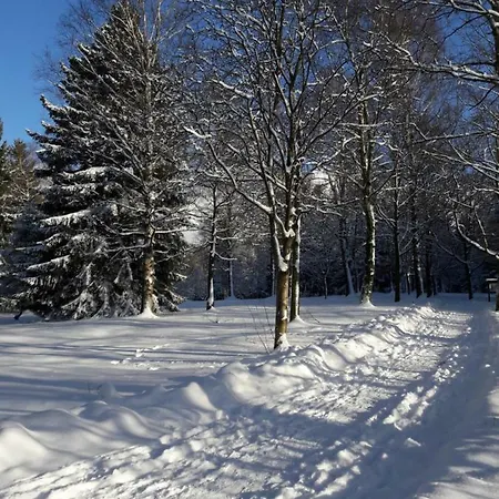 Ferienwohnung Rieger Braunlage Exterior foto