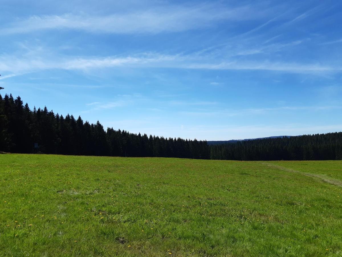 Rieger Apartment Braunlage
