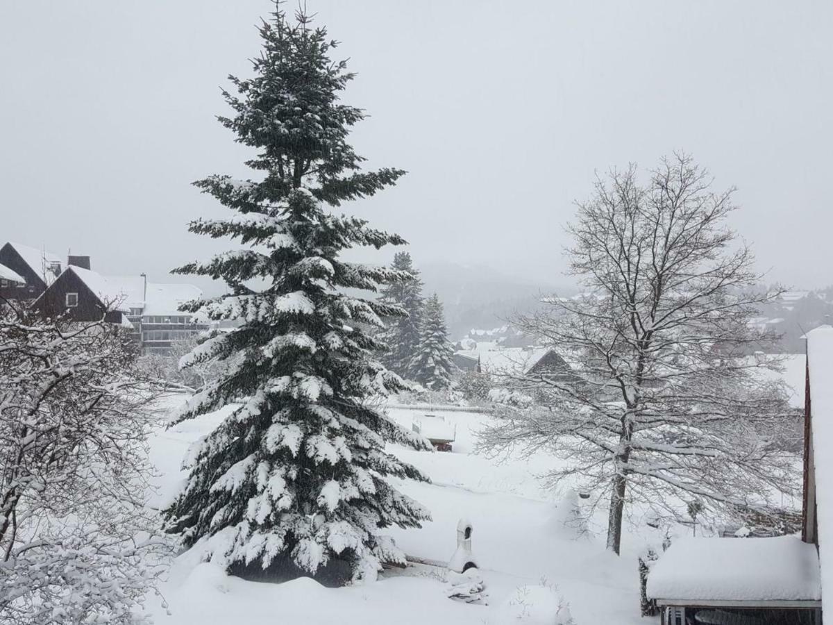 Rieger Apartment Braunlage