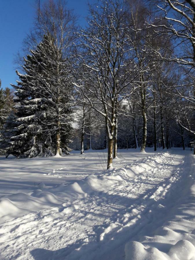 Rieger Braunlage